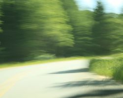 A tree-lined rural road as seen from a speeding car