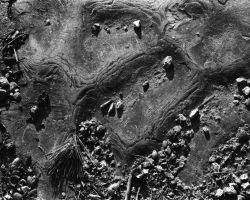 Movements of the Heart Stone 1