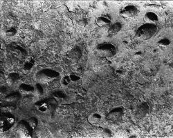 Movements of the Heart Stone 2