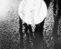 Movements of the Heart Water 3