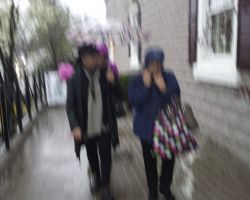 Photo of a rainy day in Jordan Station, Ontario