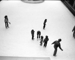 Yorkville Skaters