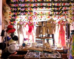 Inside the main window at Vintage Soul Geek, Hamilton