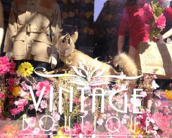 Main Window at Vintage Soul Geek, Hamilton