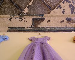 Dress Wall & Stamped Ceiling - Daddy's Plastic Vintage, Hamilton