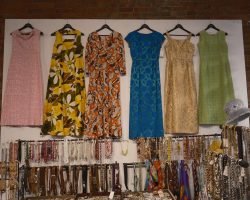Gown Wall in August- Vintage Soul Geek, Hamilton